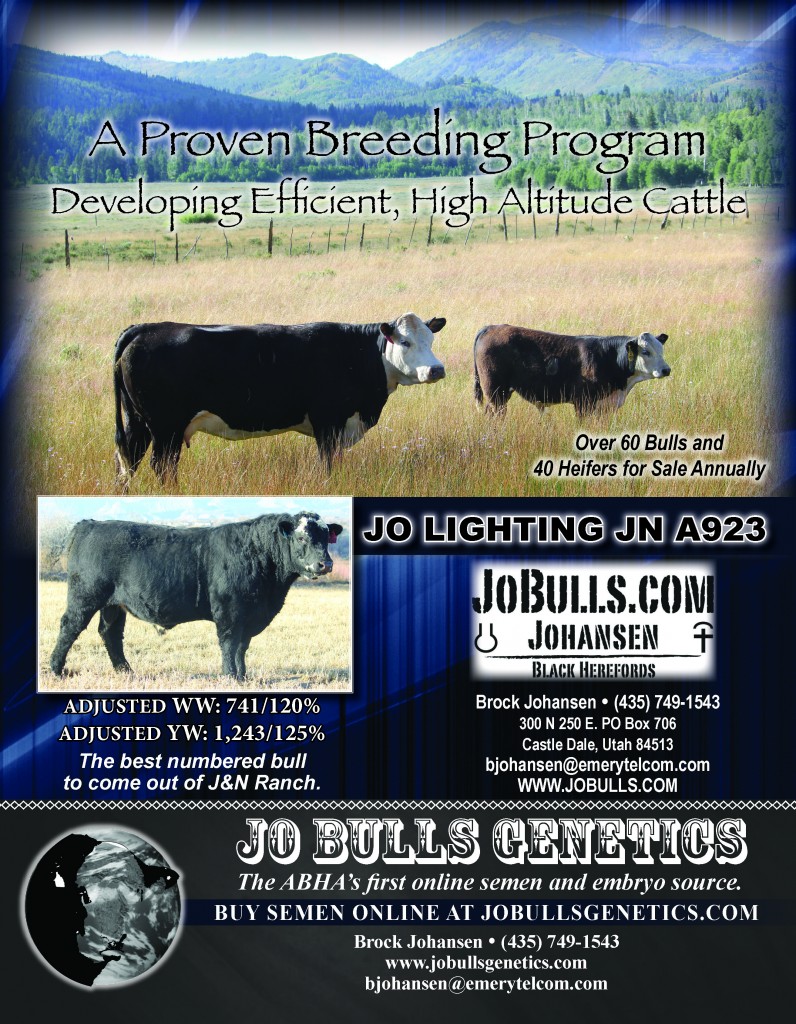 Jo Bulls Winter Program Ad